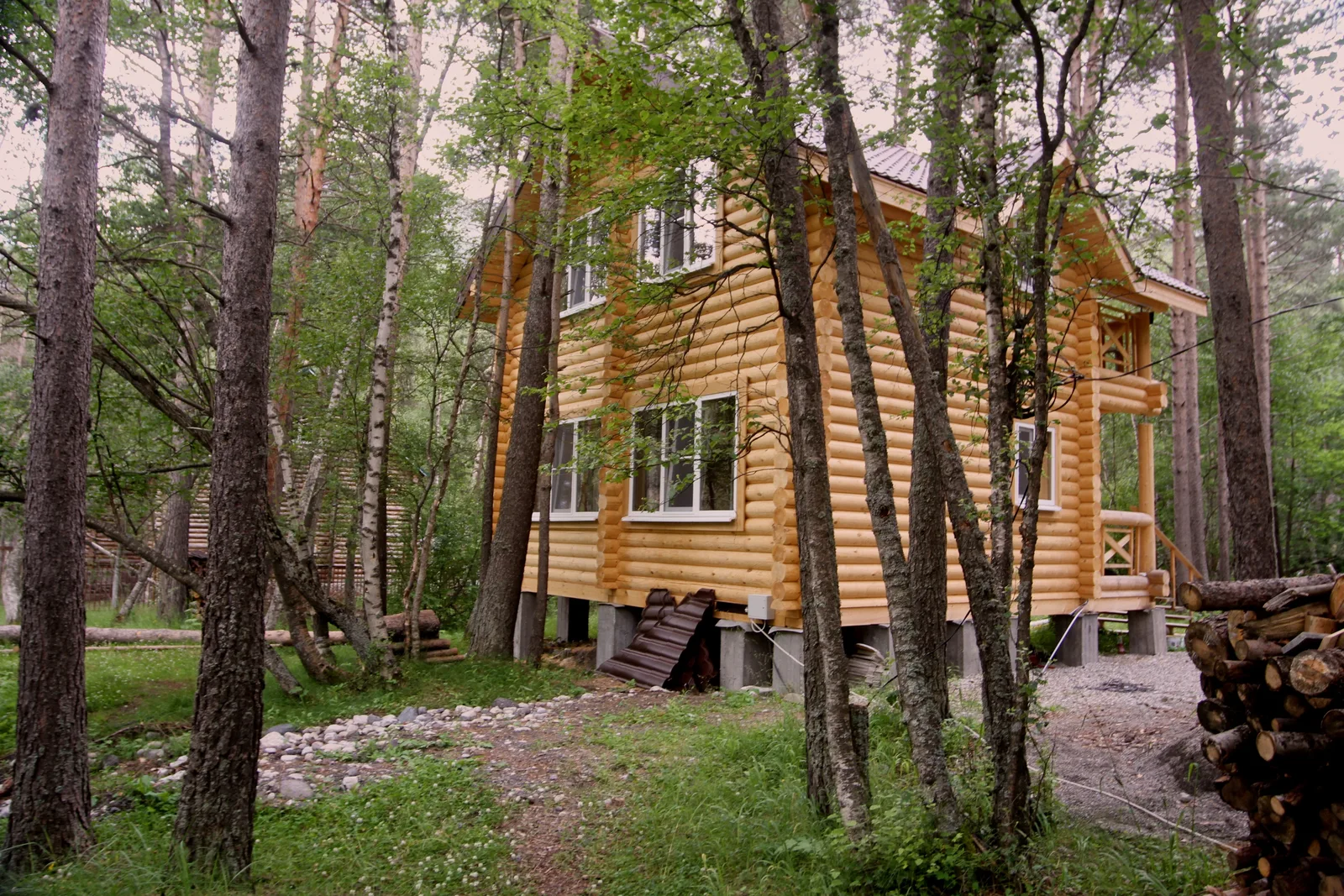 Wooden cabin surrounded by forest