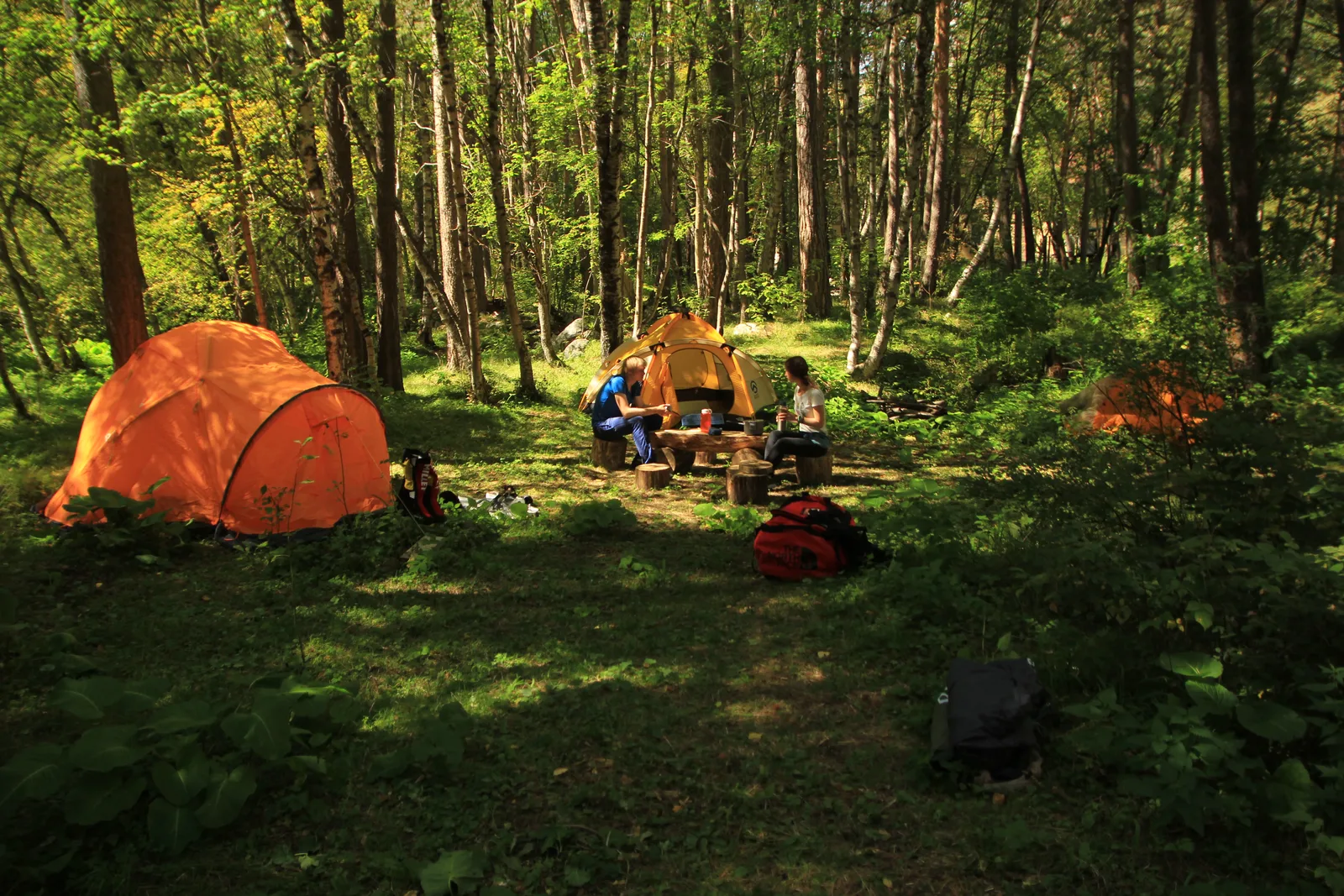 A tent in the forest grounds of Camping Caucasus