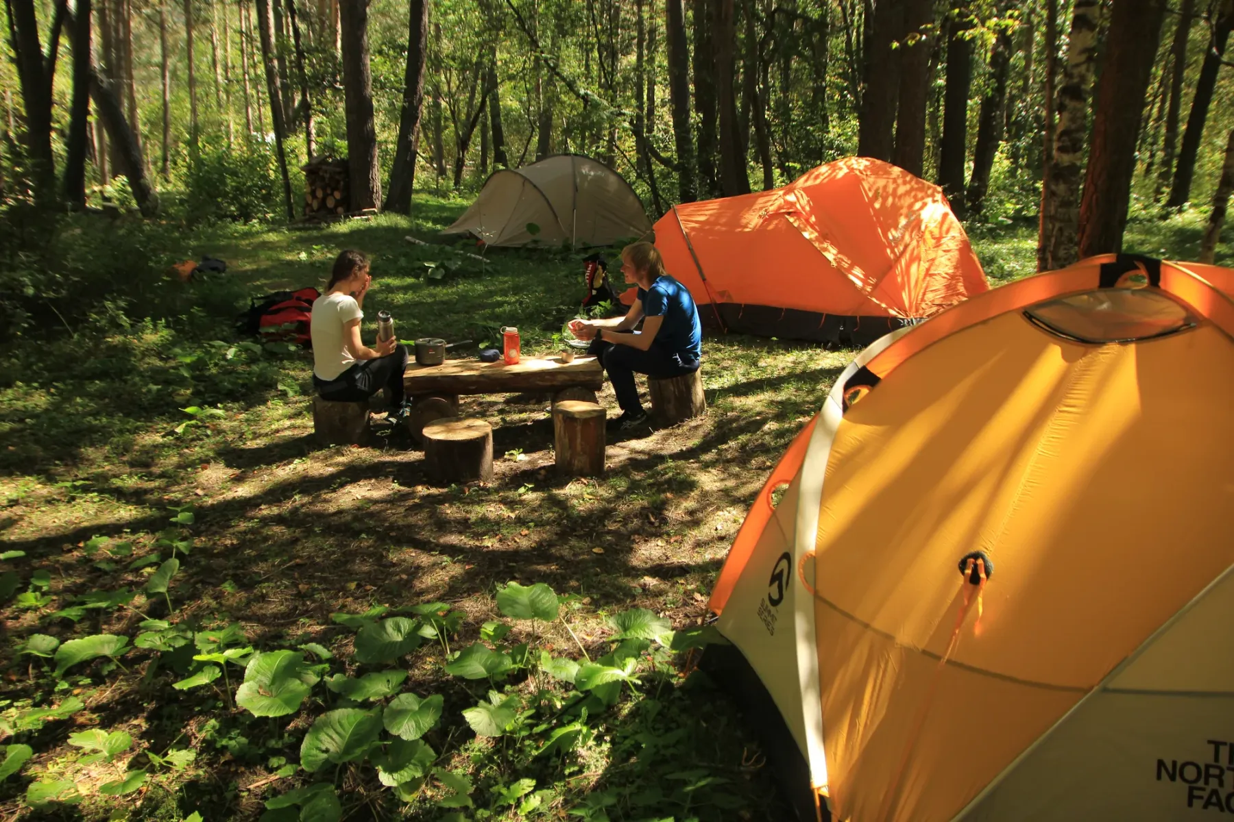 Tents at Camping Caucasus among tall trees
